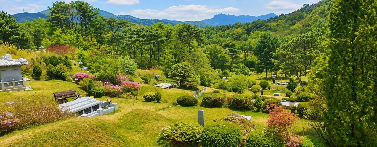 관리 중인 묘역 — 깎아 놓은 잔디와 손질된 조경수, 꽃이 핀 화단